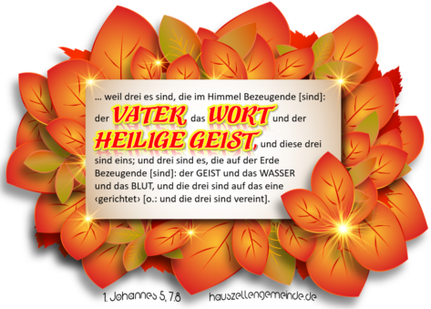 Read more about the article Weshalb 1. Johannes 5,7.8a in die Bibel gehört